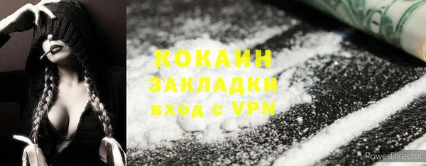 ГАЛЛЮЦИНОГЕННЫЕ ГРИБЫ Наволоки