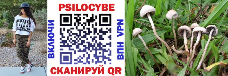 Галлюциногенные грибы мицелий  Купить  Волгоград 